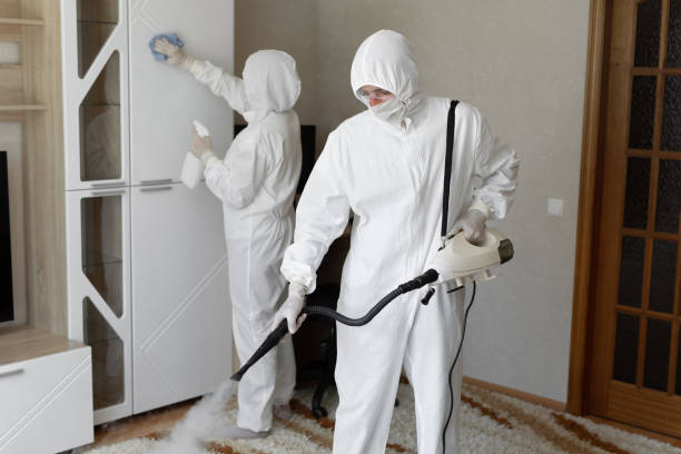 Best Bathroom Mold Remediation in East Bronson, FL