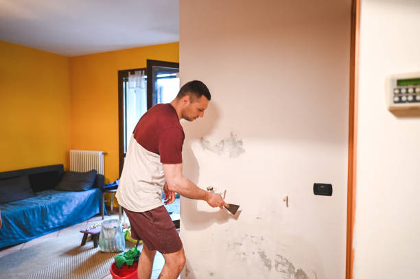 Best HVAC Mold Remediation in East Bronson, FL