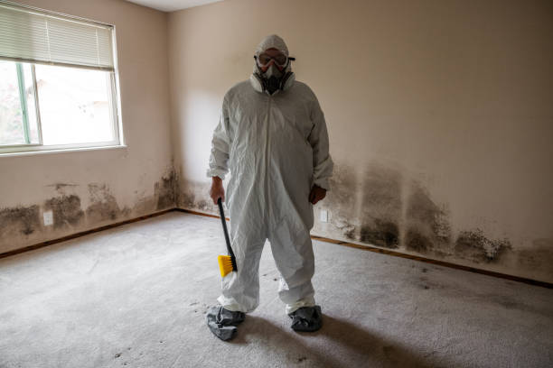 Best Insurance-Related Mold Remediation in East Bronson, FL